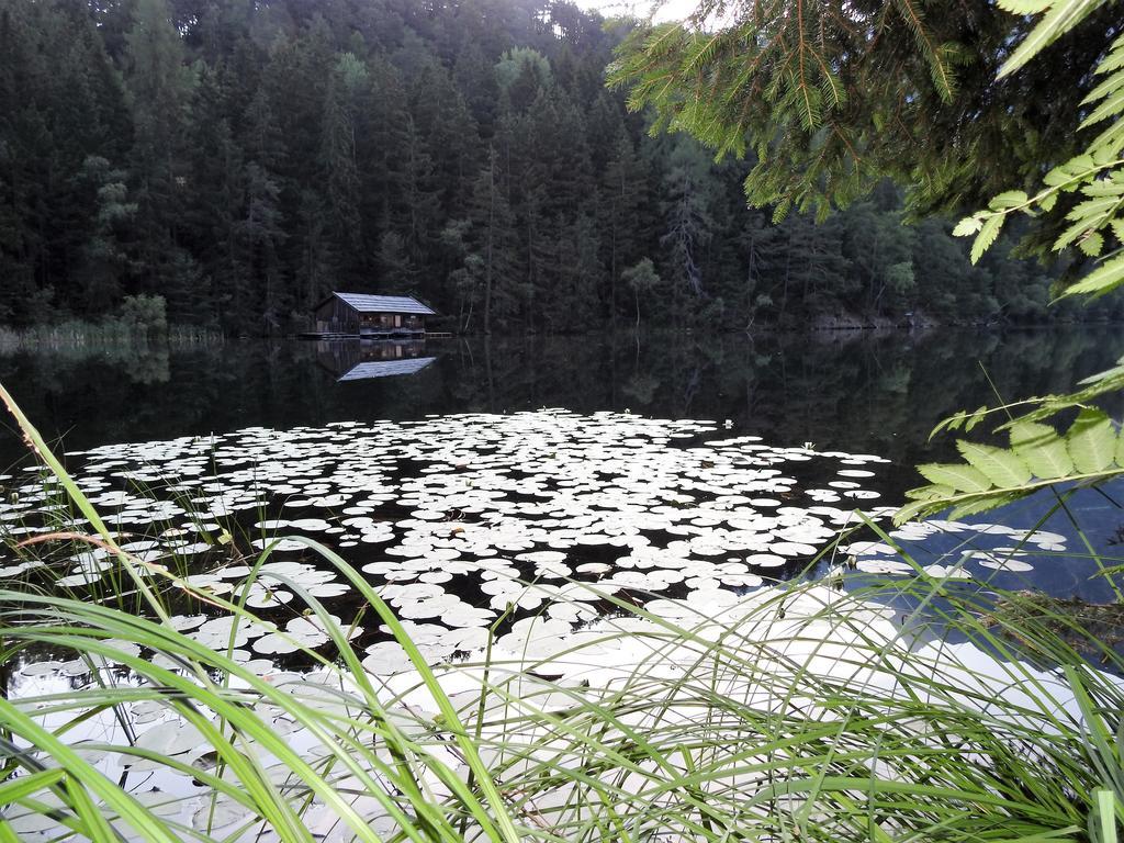 Hotel Gasthof Piburger See Oetz Exterior foto